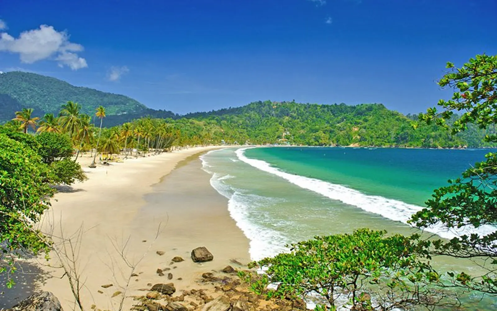 Maracas Bay beach with palm trees and turquoise water